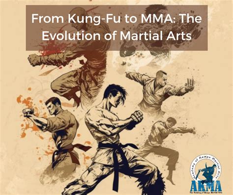 what are mixed martial arts called in china
